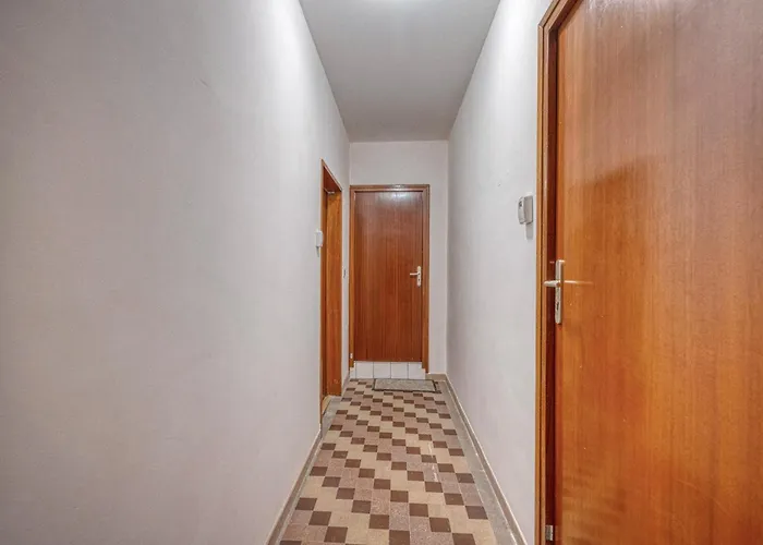 Le Charreton 1 I Ile Verte / Chu De